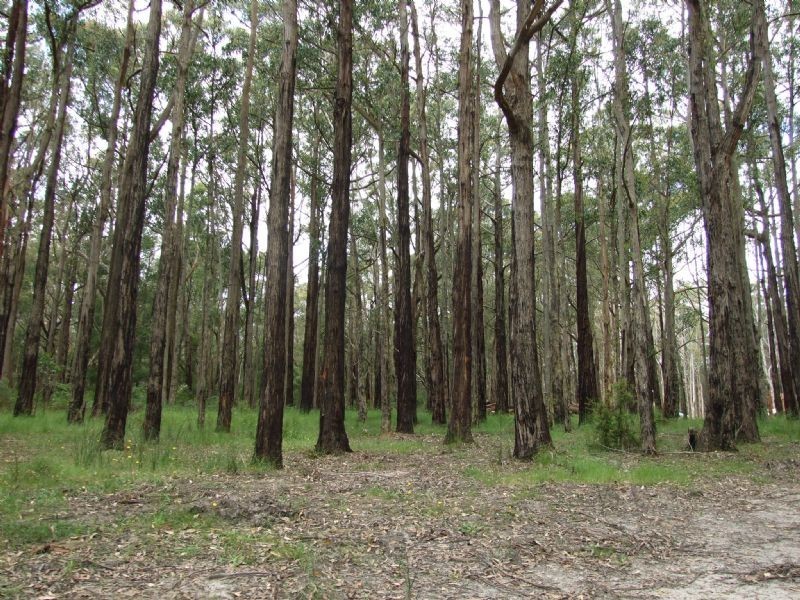 860 McDonalds Track, NARRACAN, Hernes Oak VIC 3825