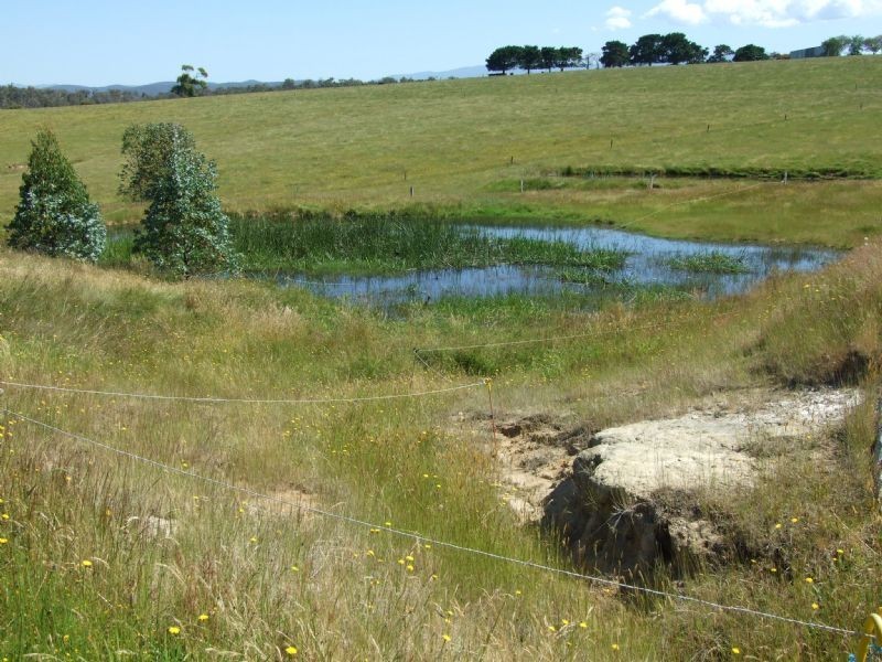 1085 Moe-Rawson Rd, THALLOO, Tanjil South VIC 3825