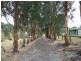 106 Thalloo Road, THALLOO, Tanjil South VIC 3825