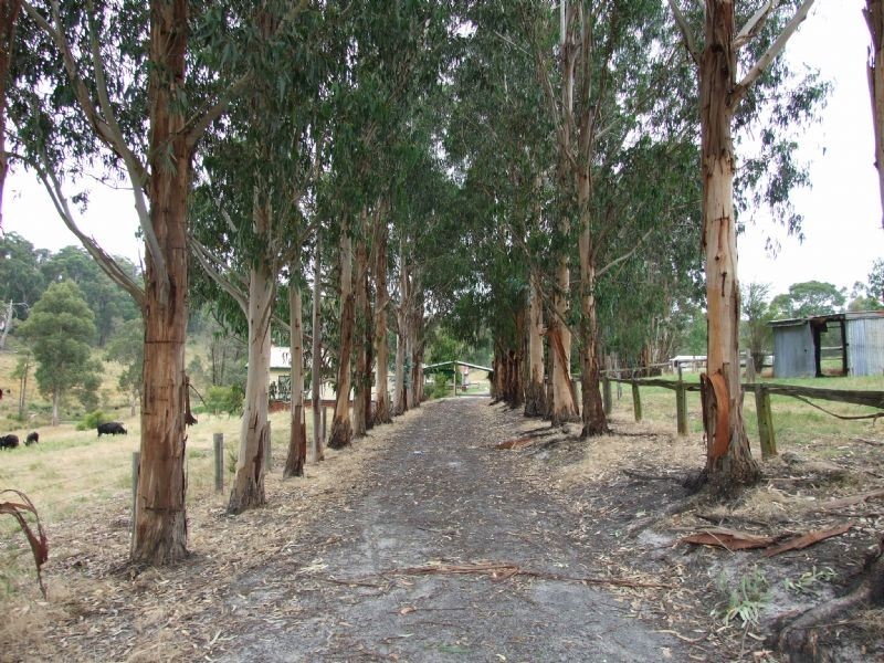 106 Thalloo Road, THALLOO, Tanjil South VIC 3825