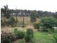 106 Thalloo Road, THALLOO, Tanjil South VIC 3825