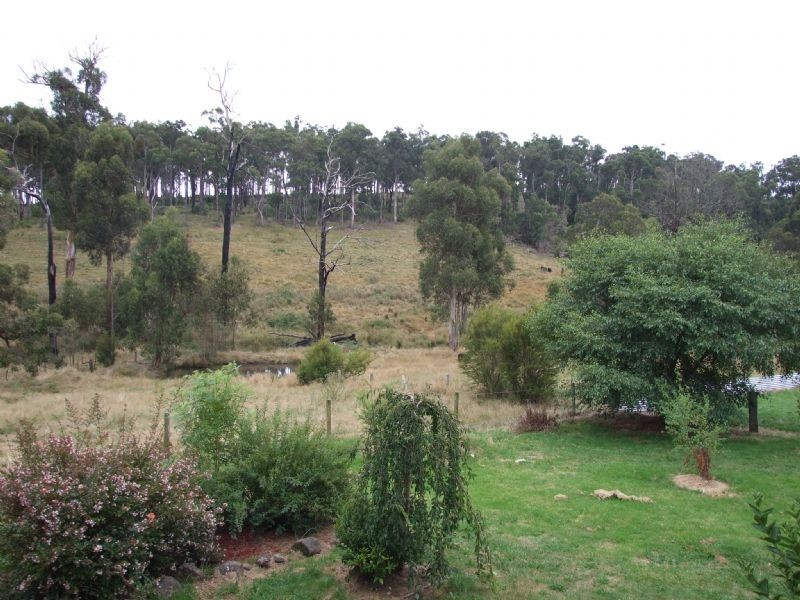 106 Thalloo Road, THALLOO, Tanjil South VIC 3825