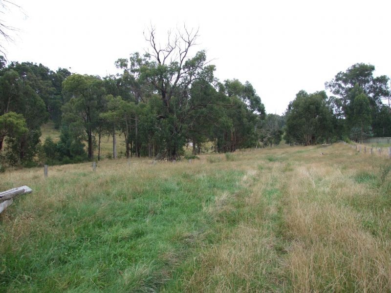 106 Thalloo Road, THALLOO, Tanjil South VIC 3825