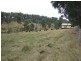 106 Thalloo Road, THALLOO, Tanjil South VIC 3825