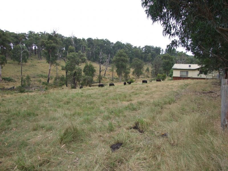106 Thalloo Road, THALLOO, Tanjil South VIC 3825