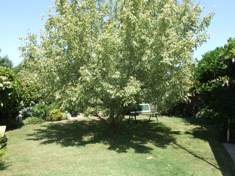 3 Jeeralang Avenue, Newborough VIC 3825