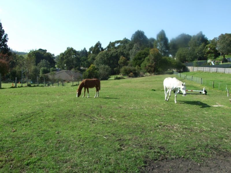 8 Dudman Road, Yallourn North VIC 3825