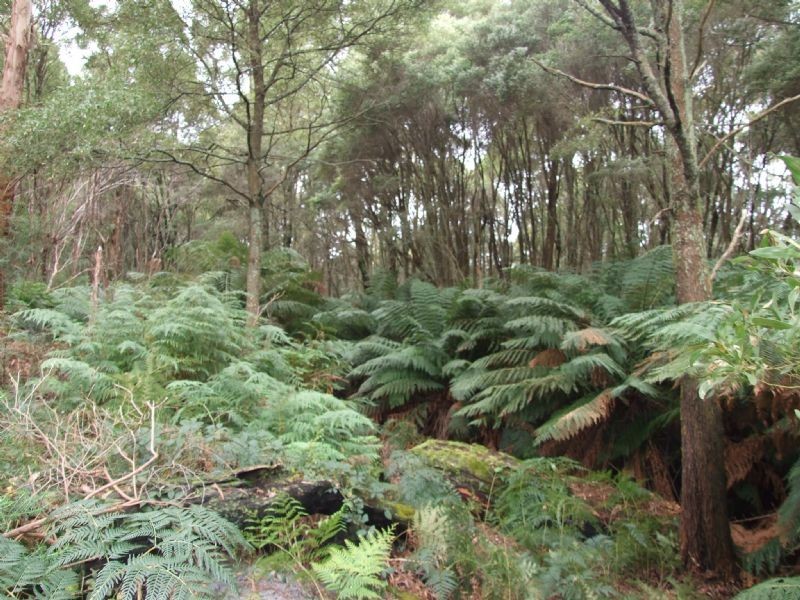 15 Yasmin Drive, Hernes Oak VIC 3825