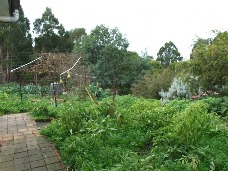 15 Yasmin Drive, Hernes Oak VIC 3825