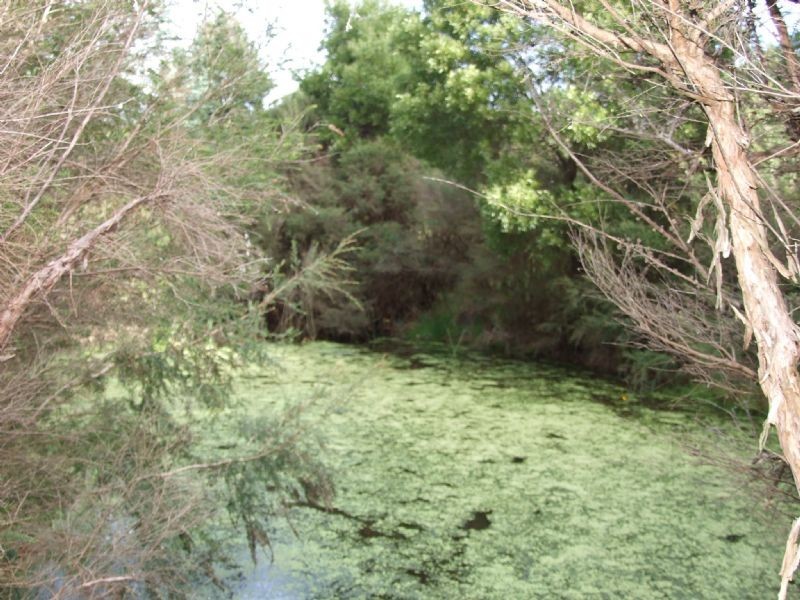 15 Yasmin Drive, Hernes Oak VIC 3825