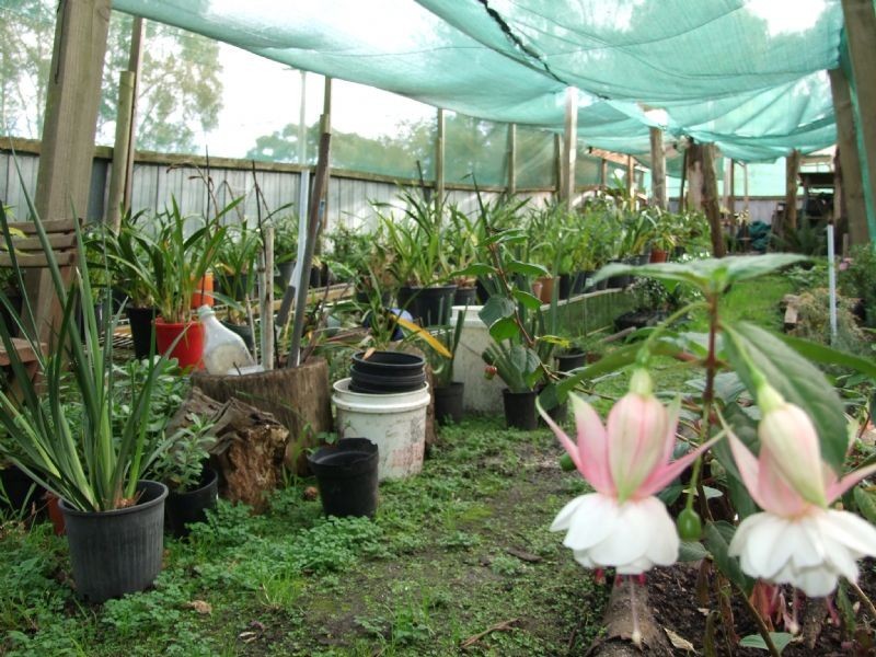 15 Yasmin Drive, Hernes Oak VIC 3825