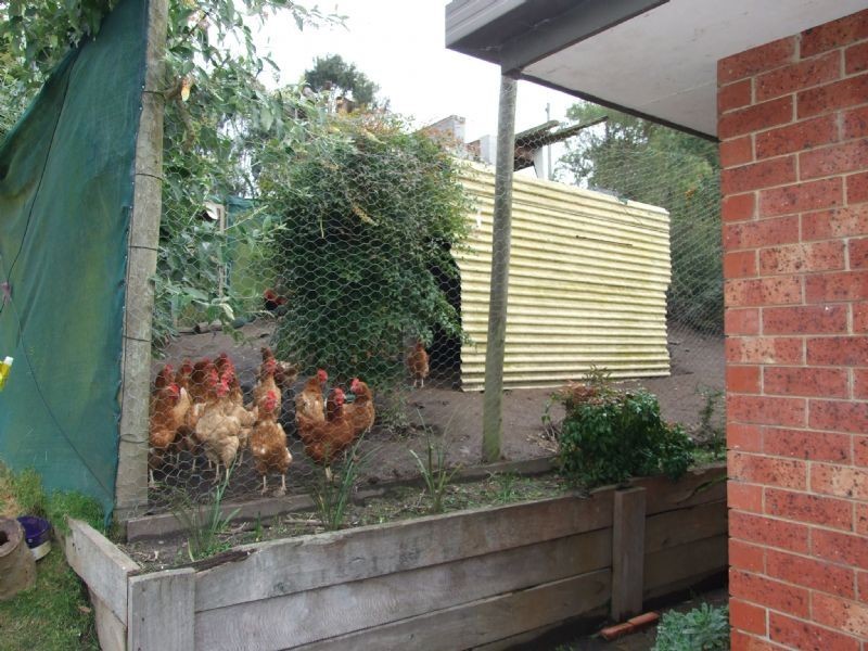 15 Yasmin Drive, Hernes Oak VIC 3825