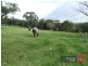 40 Melaleuca Drive, Trafalgar East VIC 3824