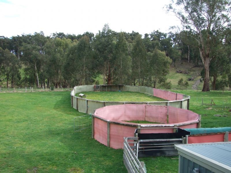 104 Thalloo Road, THALLOO, Tanjil South VIC 3825