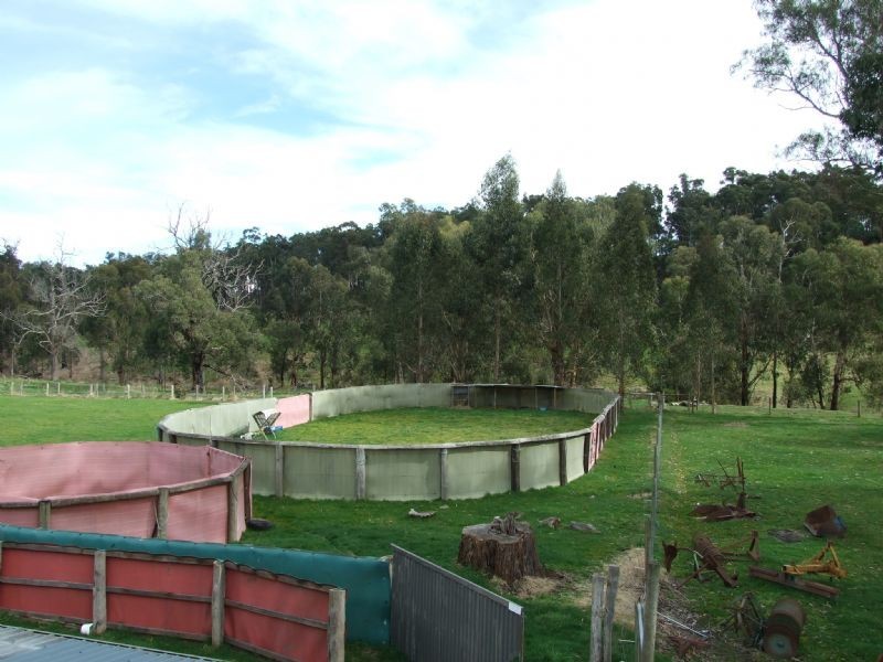 104 Thalloo Road, THALLOO, Tanjil South VIC 3825