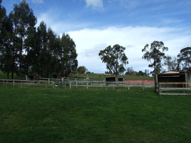 104 Thalloo Road, THALLOO, Tanjil South VIC 3825