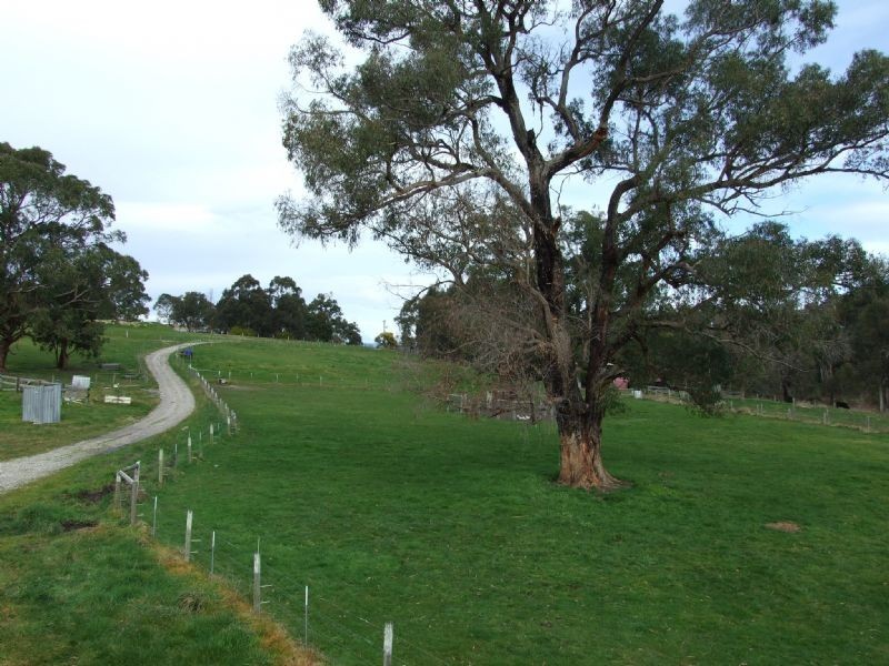 104 Thalloo Road, THALLOO, Tanjil South VIC 3825