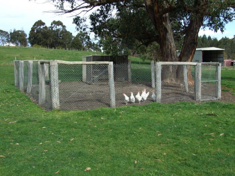 104 Thalloo Road, THALLOO, Tanjil South VIC 3825