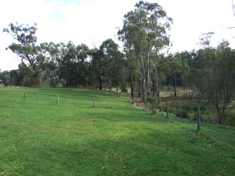 104 Thalloo Road, THALLOO, Tanjil South VIC 3825