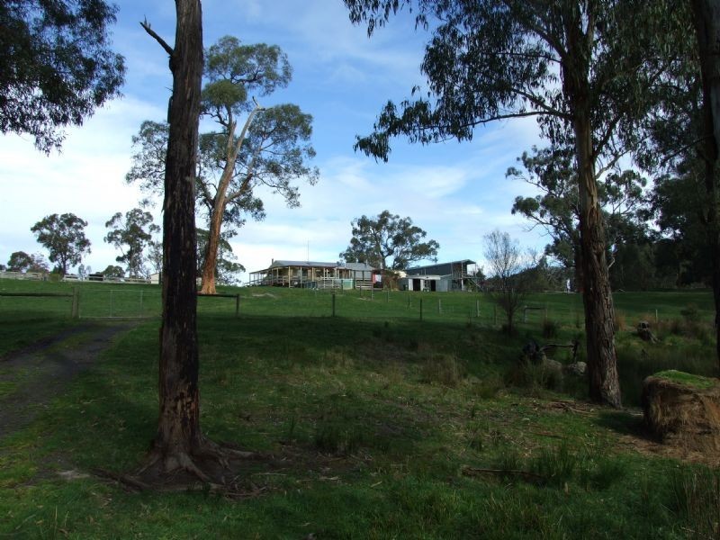 104 Thalloo Road, THALLOO, Tanjil South VIC 3825