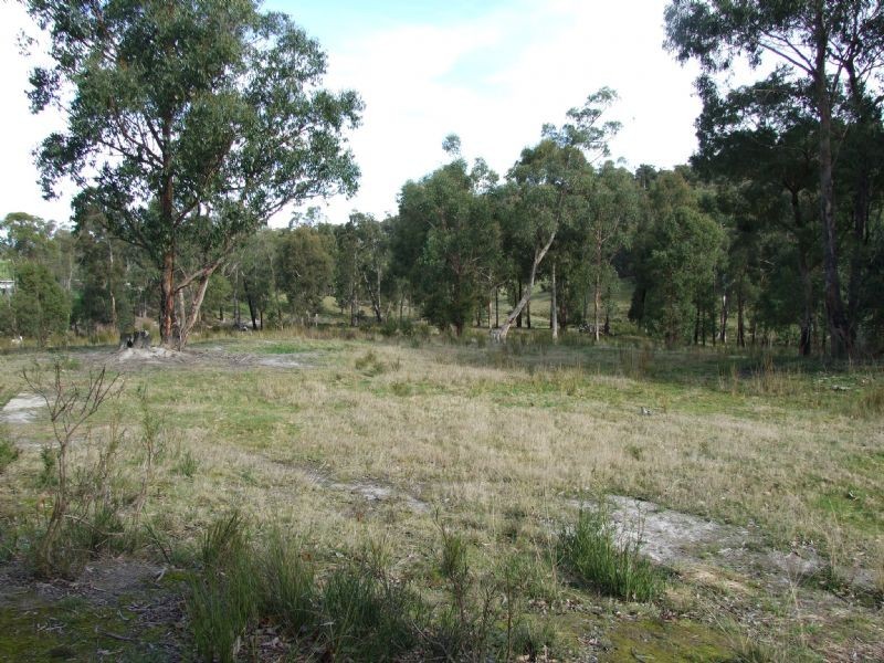 104 Thalloo Road, THALLOO, Tanjil South VIC 3825