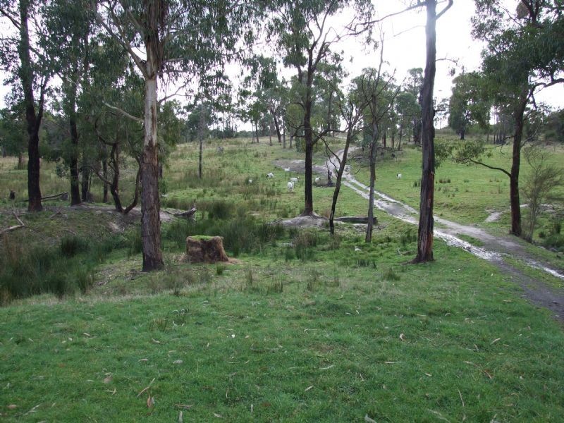 104 Thalloo Road, THALLOO, Tanjil South VIC 3825