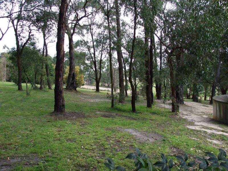 52 Melaleuca Drive, Trafalgar East VIC 3824