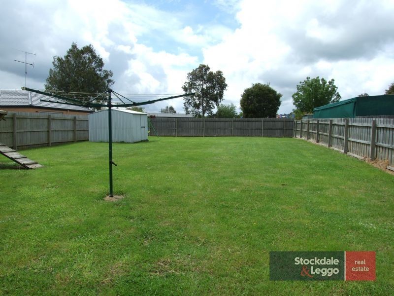 17 Randal Crescent, Moe VIC 3825