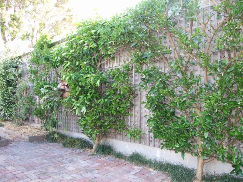 71 Lloyd Street, Moe VIC 3825