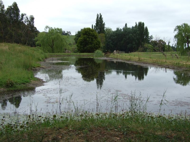 35 Ryland Way, Moe South VIC 3825