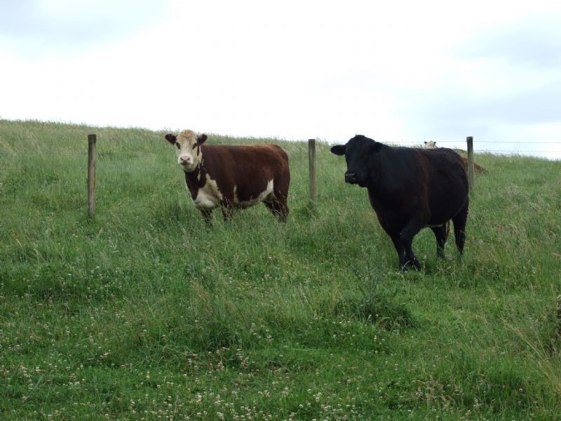 96 School Road, Erica VIC 3825