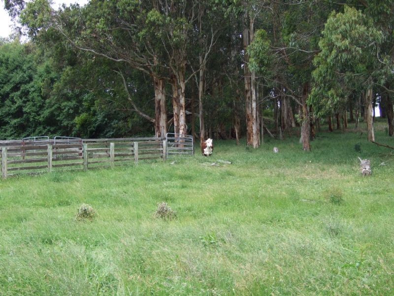 96 School Road, Erica VIC 3825