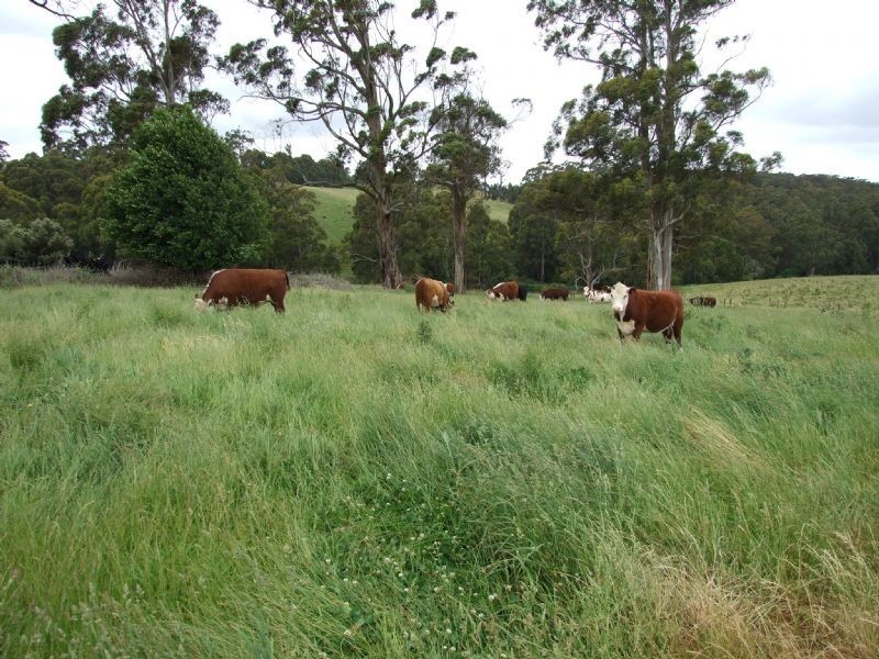 96 School Road, Erica VIC 3825