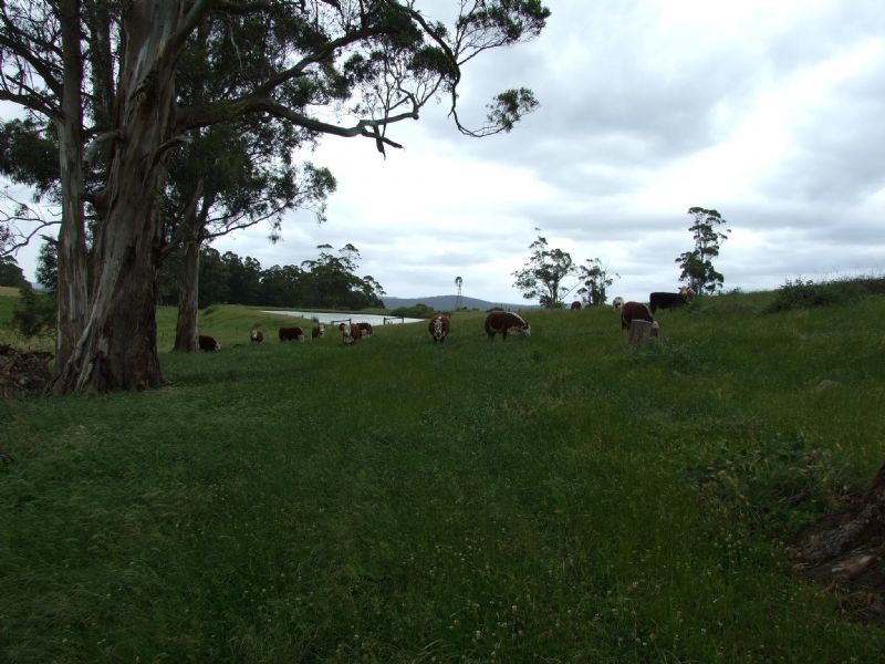 114 School Road, Erica VIC 3825