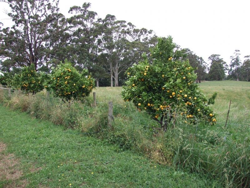 114 School Road, Erica VIC 3825