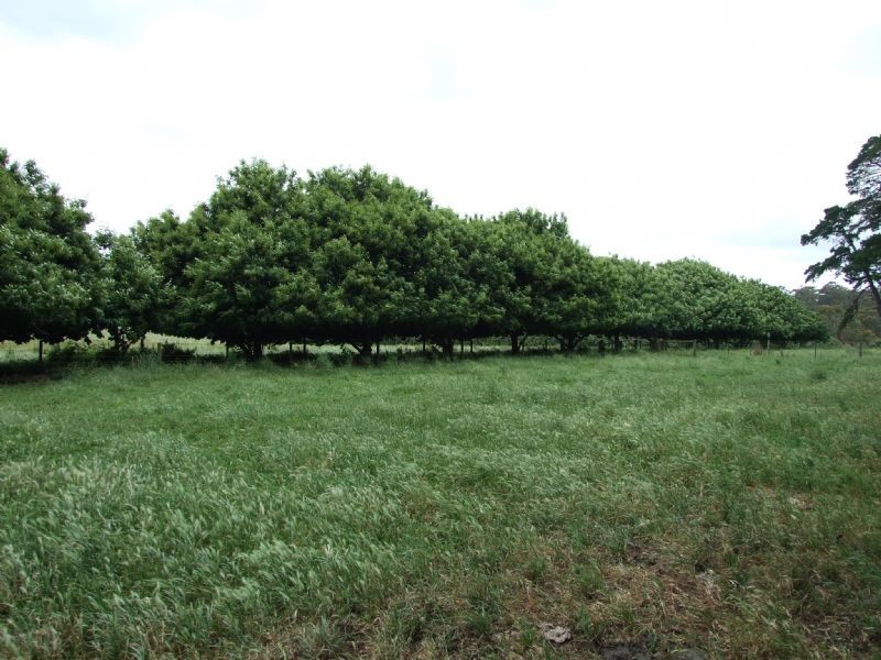 114 School Road, Erica VIC 3825