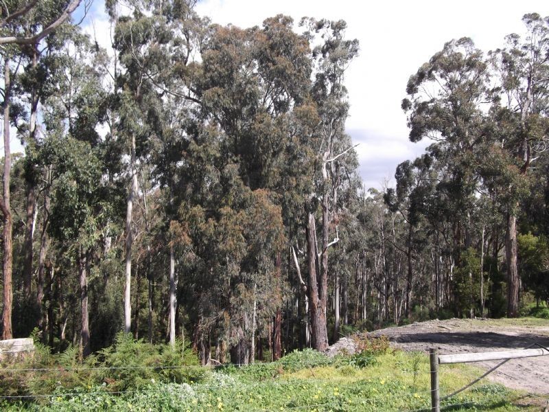 55 View Road, Hernes Oak VIC 3825