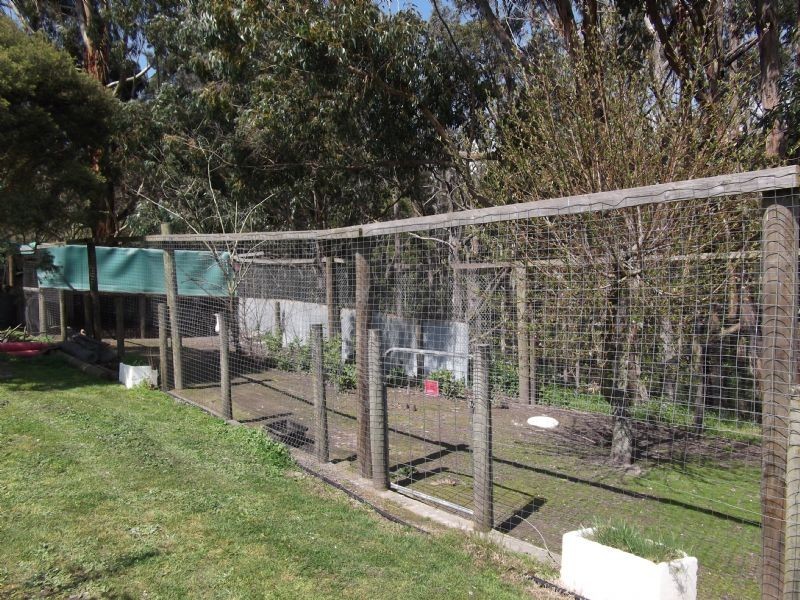 55 View Road, Hernes Oak VIC 3825