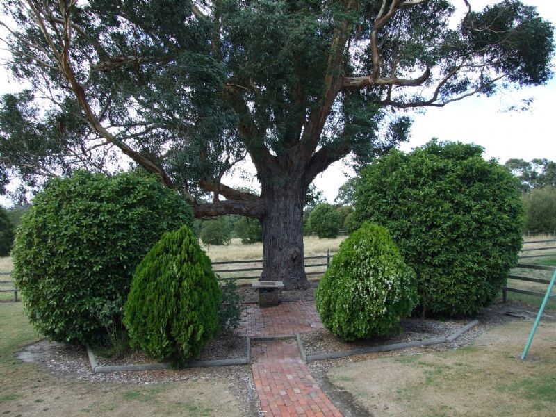 41 Melaleuca Drive, Trafalgar East VIC 3824