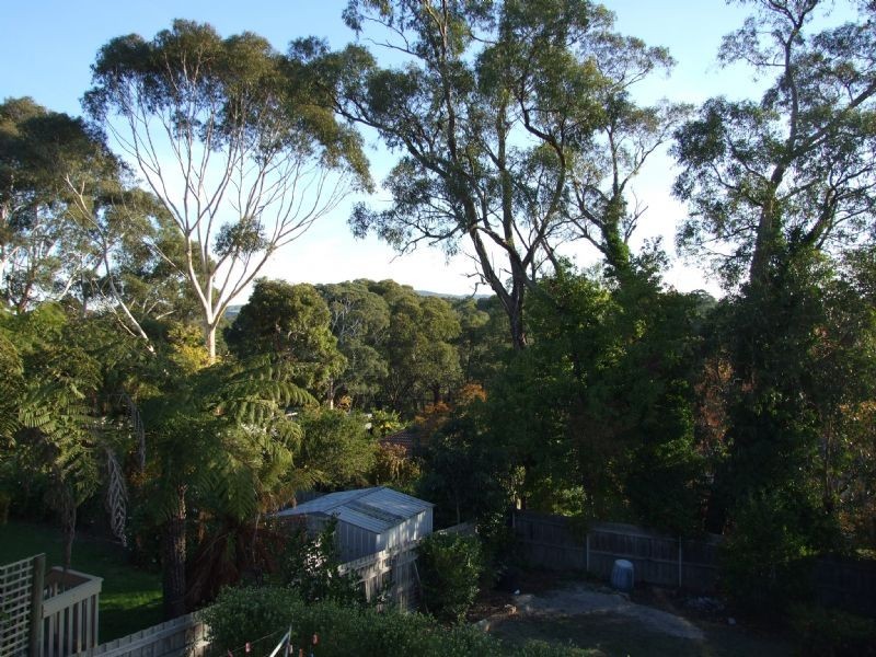 33 Smallburn Avenue, Newborough VIC 3825