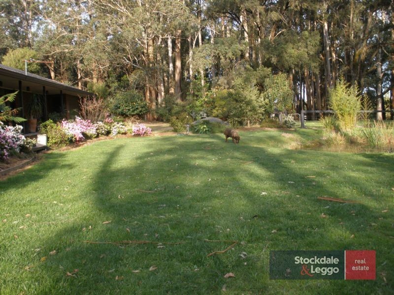 318 Old Coach Road, Moondarra VIC 3825
