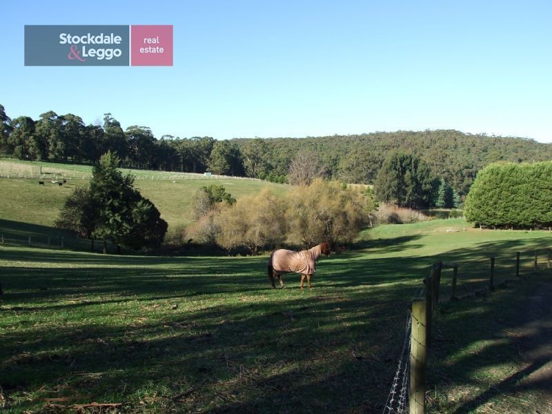 3090 Moe Rawson Road, Erica VIC 3825