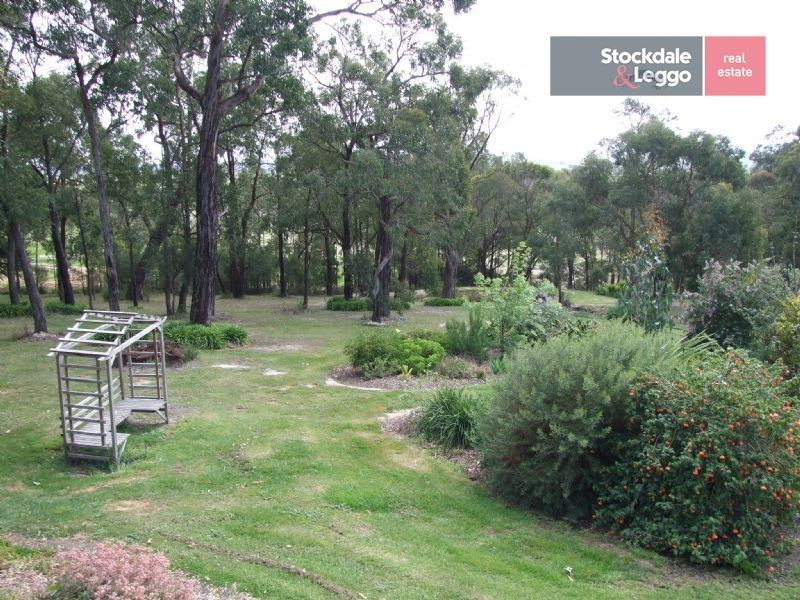 52 Melaleuca Drive, Trafalgar East VIC 3824