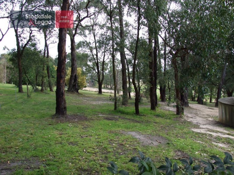 52 Melaleuca Drive, Trafalgar East VIC 3824