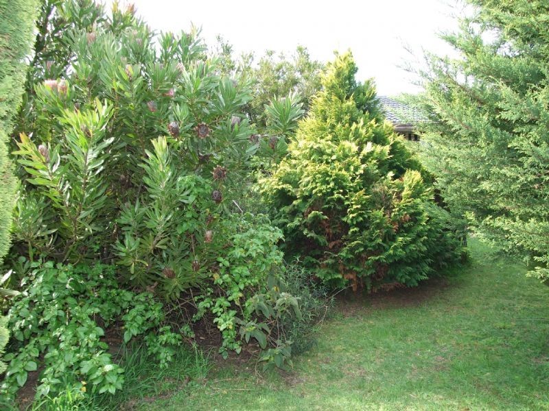 2/2 Joy Street, Newborough VIC 3825