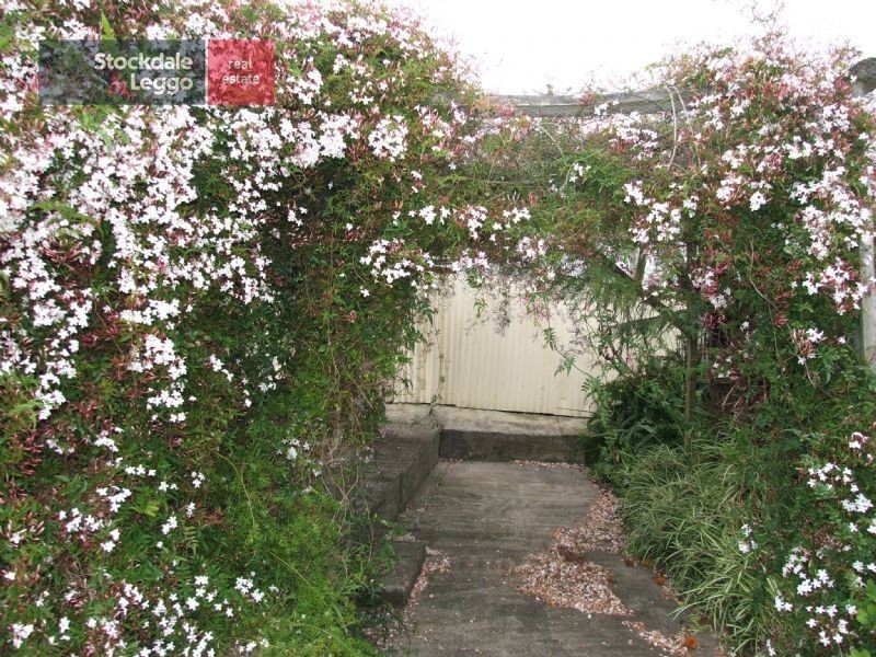 41 Margaret Street, Moe VIC 3825