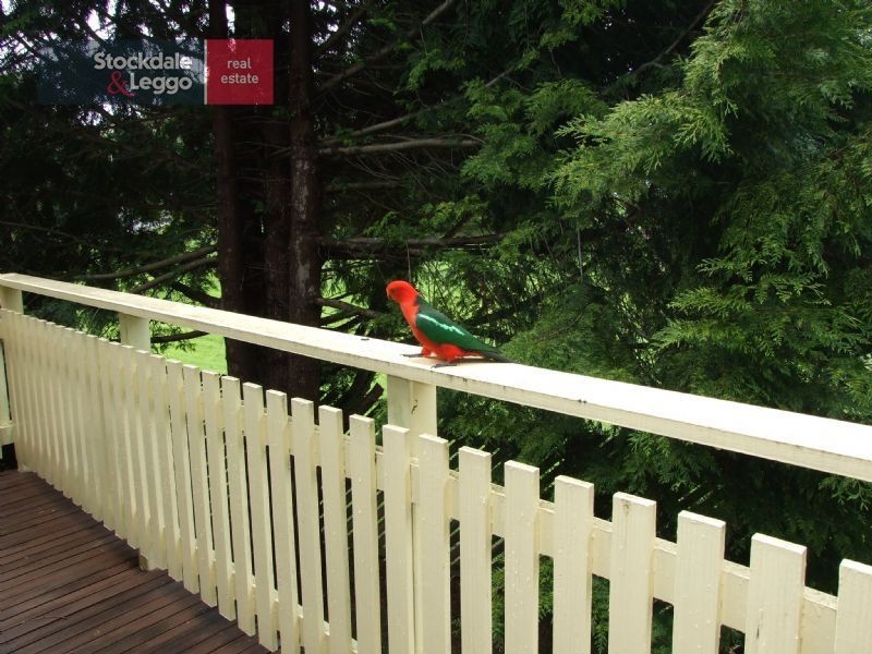 28 St Phillack Crescent, Rawson VIC 3825