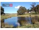 50 Thalloo Road Thalloo, Tanjil South VIC 3825