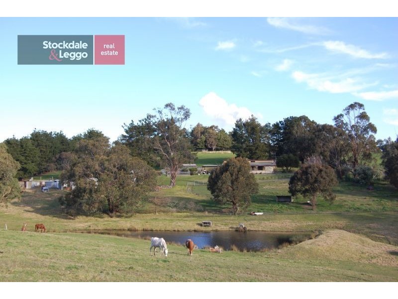 50 Thalloo Road Thalloo, Tanjil South VIC 3825