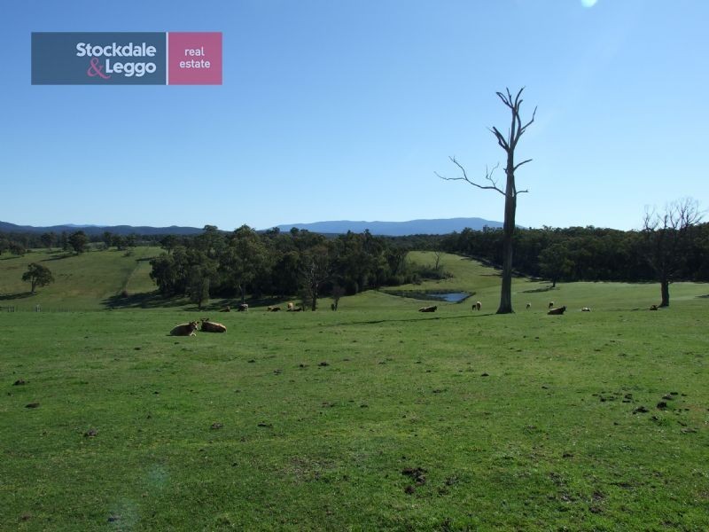 1151 Moe Rawson Road THALLOO, Tanjil South VIC 3825